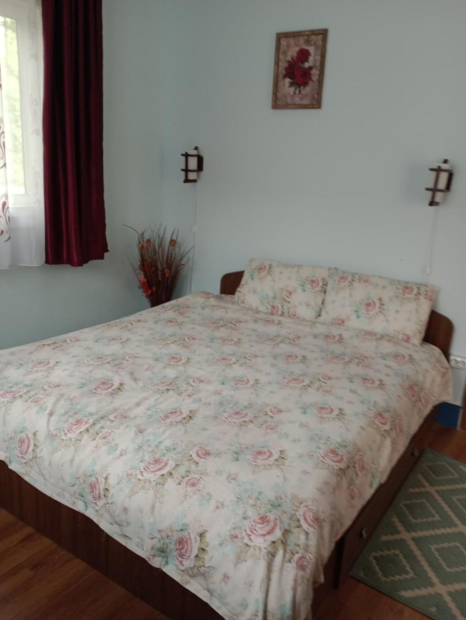 Casa Dragoi Din Socolari, Caras - Severin Εξωτερικό φωτογραφία